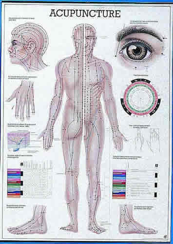 Acupuncture Chart