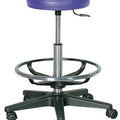 Practitioner Stool - with Foot Ring