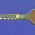 Combination Occluder
