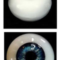 Silicone Human Eye Replica (Blue Iris)