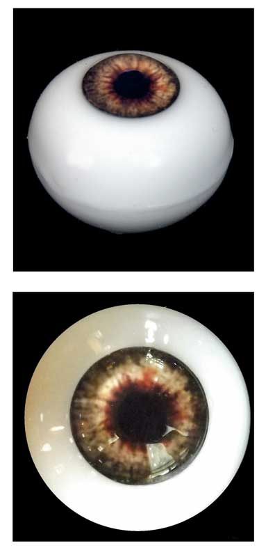 Silicone Human Eye Replica (Brown Iris)