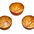 Reti Eye Laser Practice Retinal Films 10 Pack