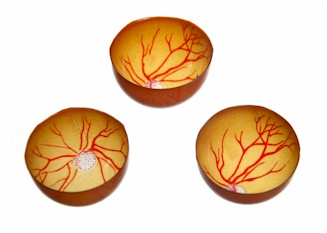 Reti Eye Laser Practice Retinal Films 10 Pack