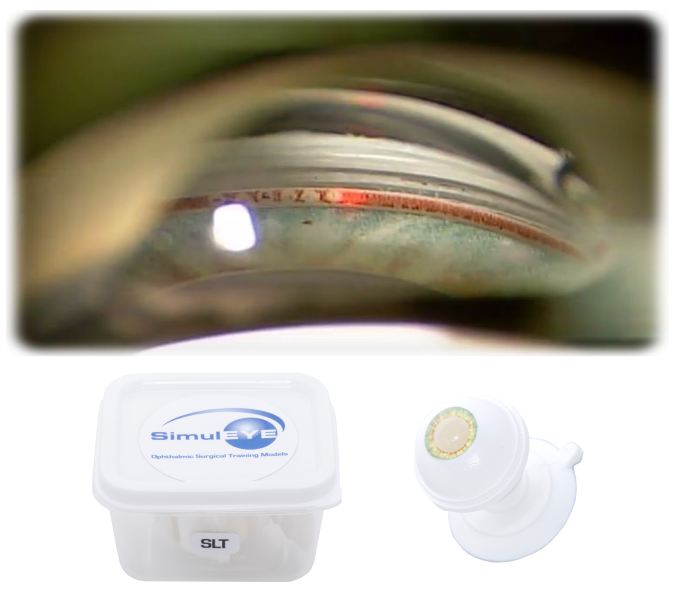 SimulEYE SLT Model (2 Pack)
