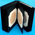 Ishihara Colour Vision Book 38 plate