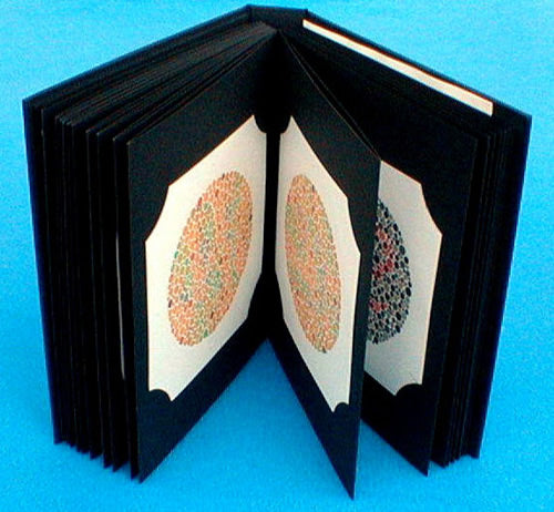 Ishihara Colour Vision Book 38 plate