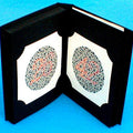 Ishihara Colour Vision Book 14 plate
