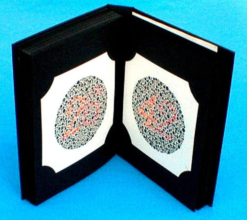 Ishihara Colour Vision Book 14 plate