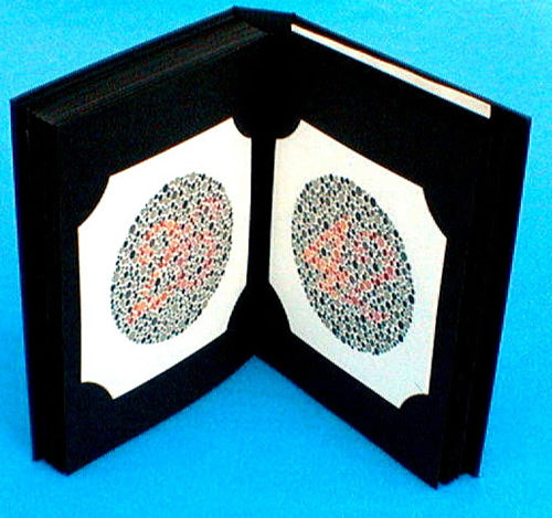 Ishihara Colour Vision Book 10 plate