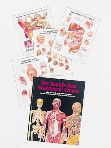 Charts Booklet, Paper