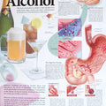 Dangers Of Alcohol Chart