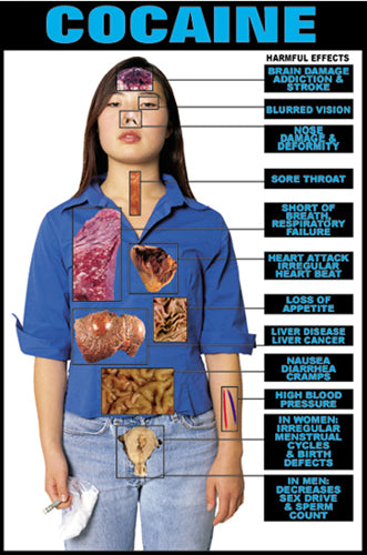 Harmful Effects Cocaine Chart