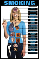 Harmful Effects Smoking Chart