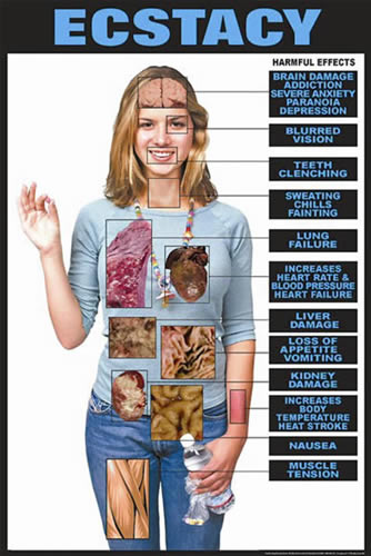 Harmful Effects Of Ecstacy Chart