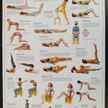 Exercises for the Pelvic Floor Chart