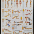 Exercises for the Spine Chart