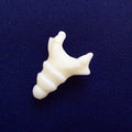 Coccyx