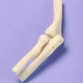 Elbow - Miniature Joint