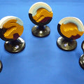 Frog Embryology Set