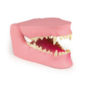 Canine Jaw Healthy & Diseased