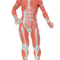 Miniature Muscular Model, 2 Part