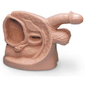 Male Catheterisation Model