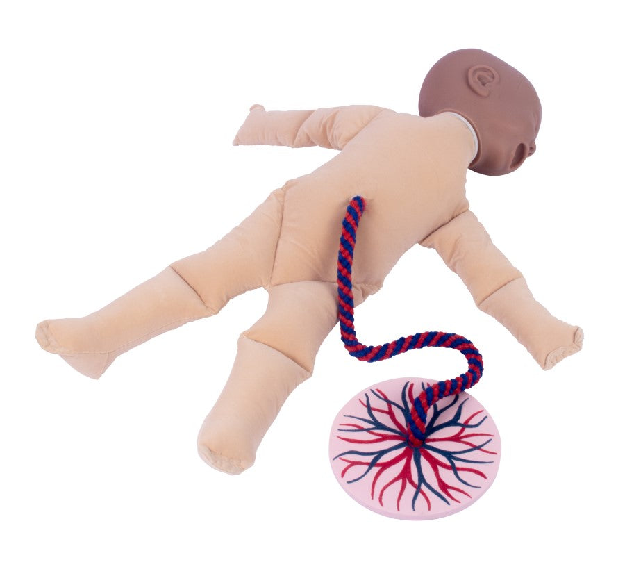 Foetal Doll With Placenta