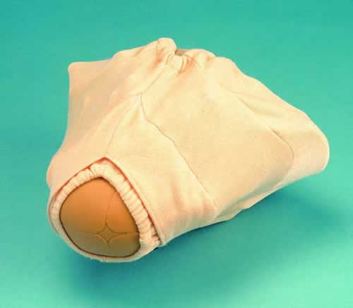 Perineal Model To Fit Pelvis