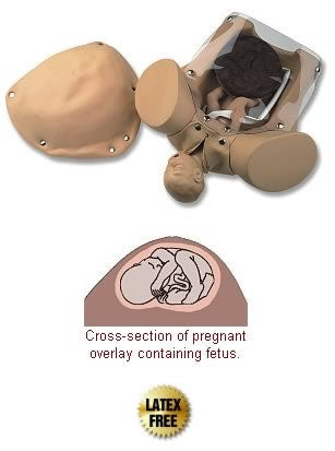 Obstetrical Manikin