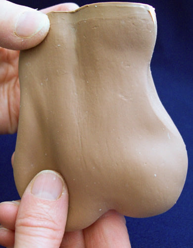 Testis Awareness Model Black