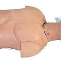 BLS Trainer Torso