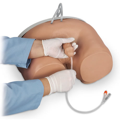 Male Catheterization Simulator