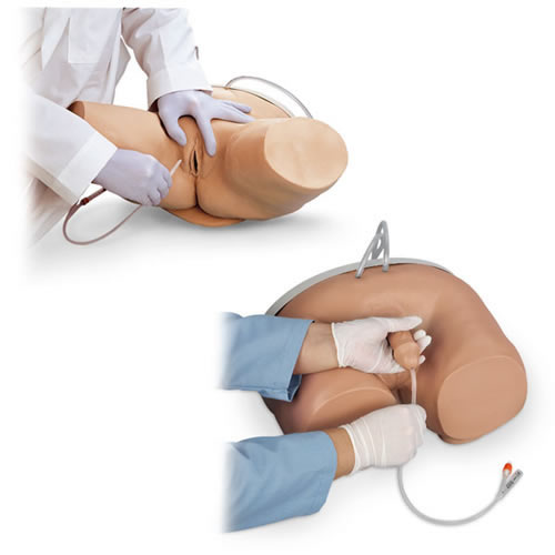 Male & Female Catheterization Simulator Set