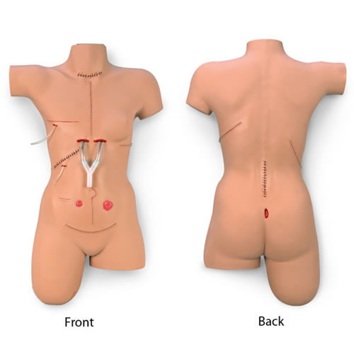 â€œSurgical Sallyâ€ Bandaging Simulator