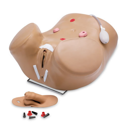 Advanced Patient Care Male and Female Catheterization Simulator
