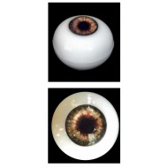 Silicone Human Eye Replica (Brown Iris)